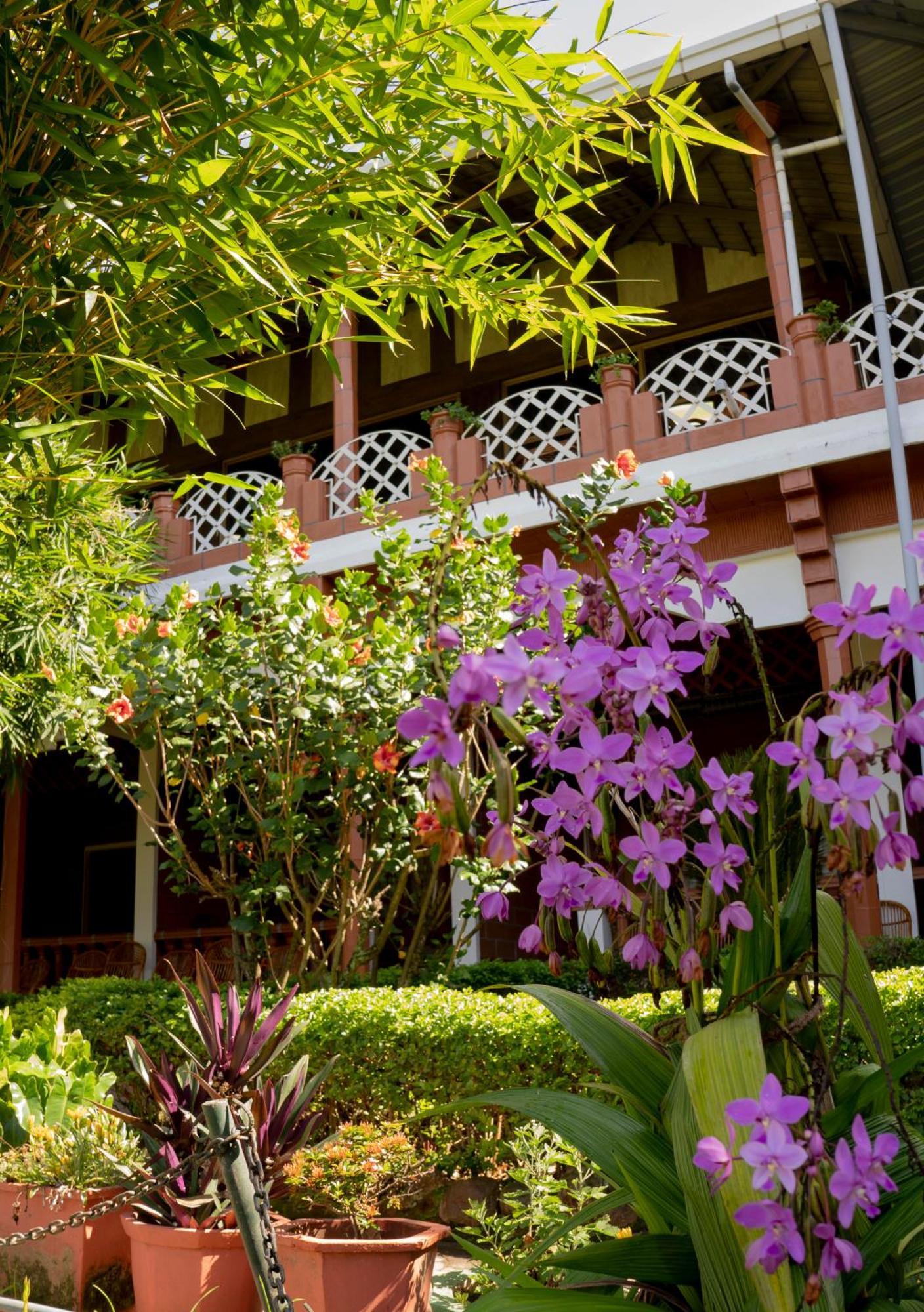 The Nest Inn Resort Масинагуди Экстерьер фото